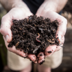 composting in Tulsa, OK